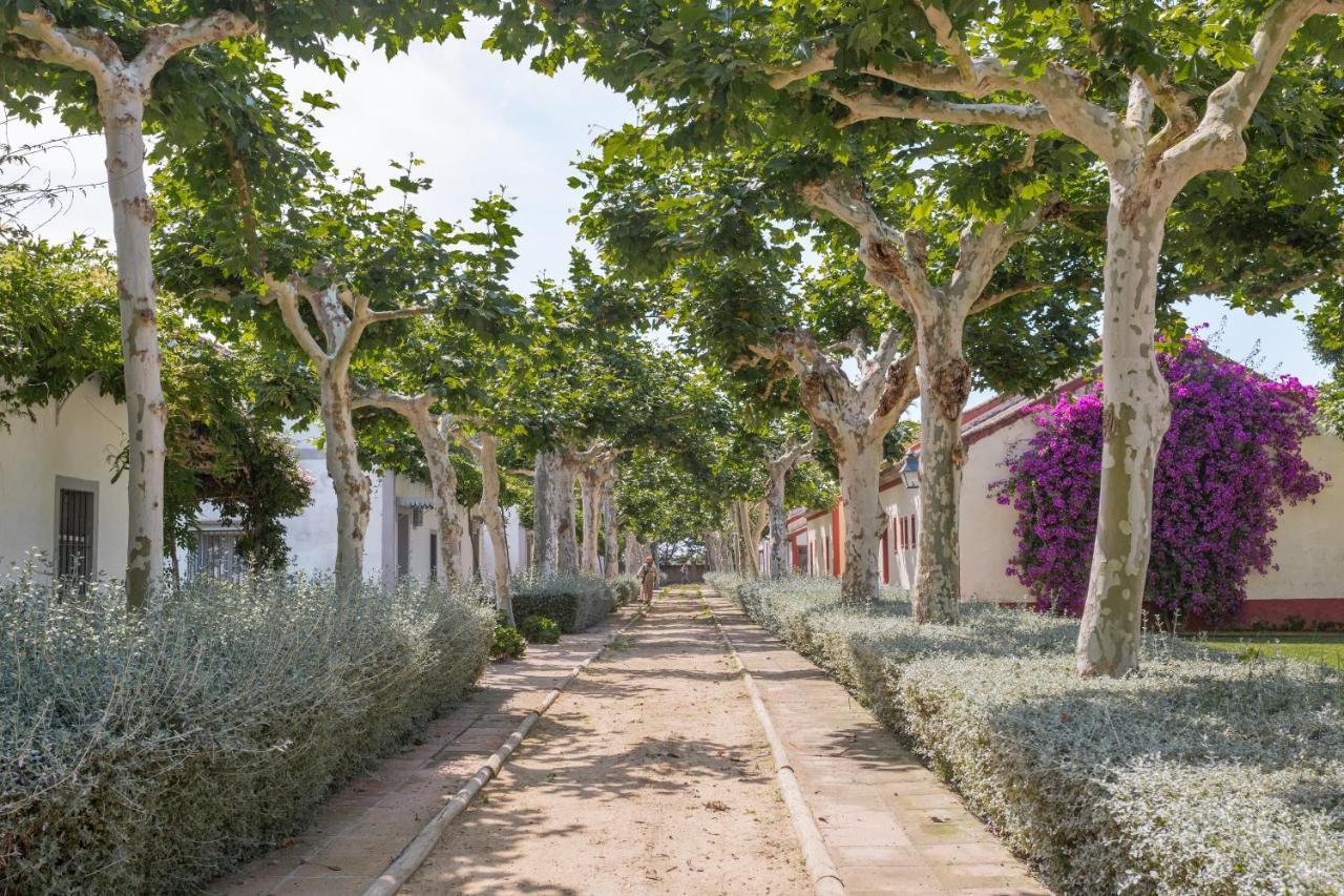 El Cortijo De Los Mimbrales 엘로시오 외부 사진